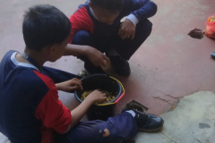 IMG20260724094922-1