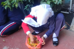 IMG20260724094929