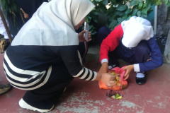 IMG20260724094944