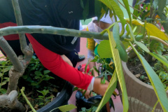 IMG20260724095428
