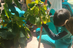 IMG20260724100859