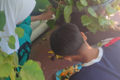 IMG20260724100928